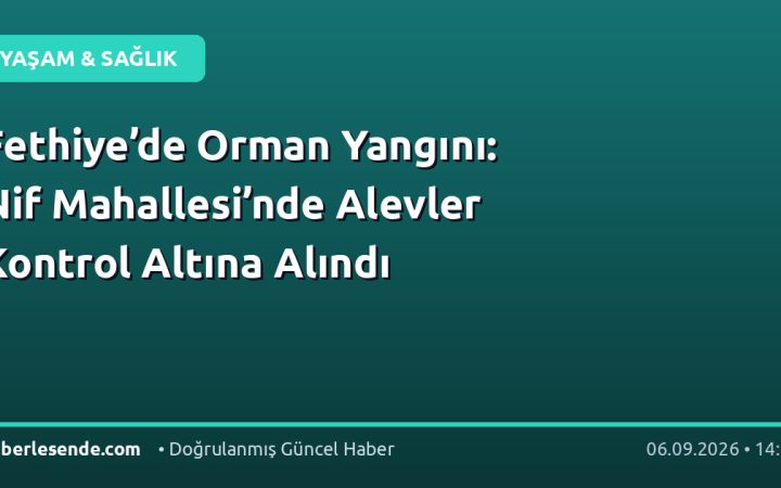 Fethiye’de Orman Yangını: Nif Mahallesi’nde Alevler Kontrol Altına Alındı