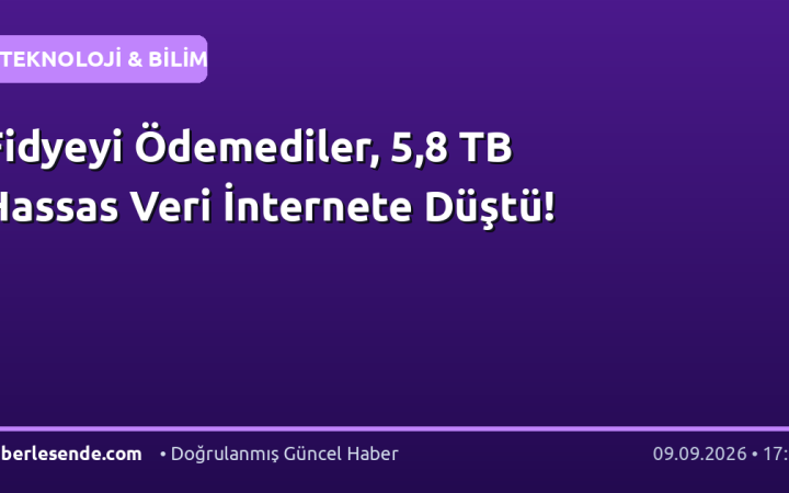 Fidyeyi Ödemediler, 5,8 TB Hassas Veri İnternete Düştü!