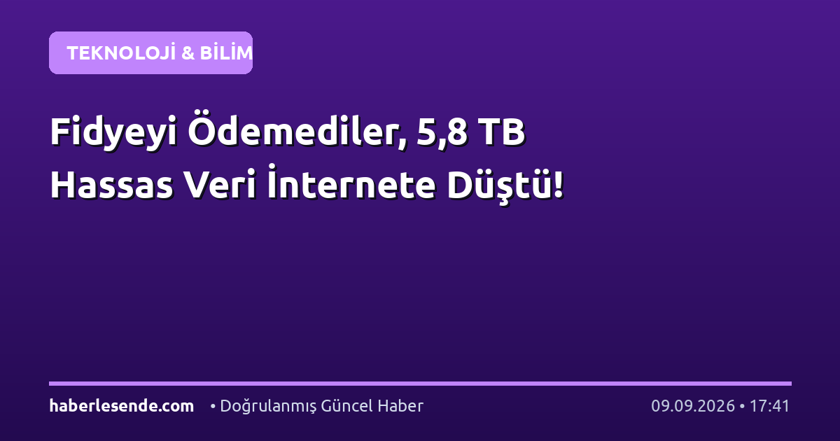 Fidyeyi Ödemediler, 5,8 TB Hassas Veri İnternete Düştü!