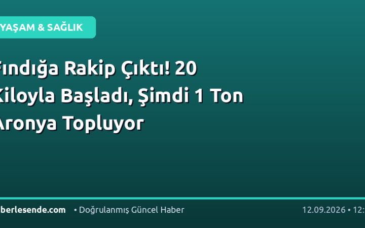 Fındığa Rakip Çıktı! 20 Kiloyla Başladı, Şimdi 1 Ton Aronya Topluyor