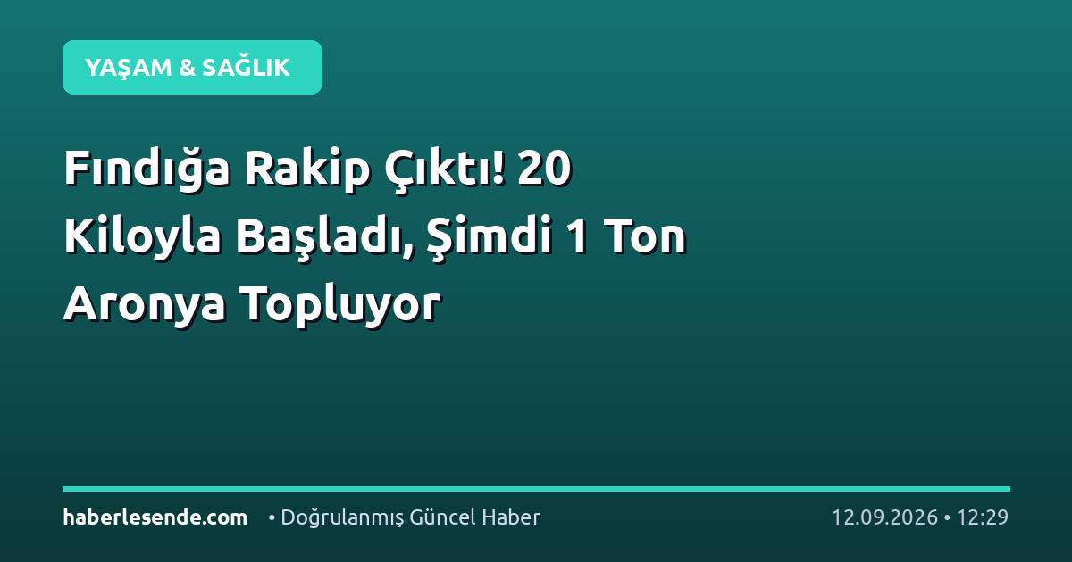Fındığa Rakip Çıktı! 20 Kiloyla Başladı, Şimdi 1 Ton Aronya Topluyor