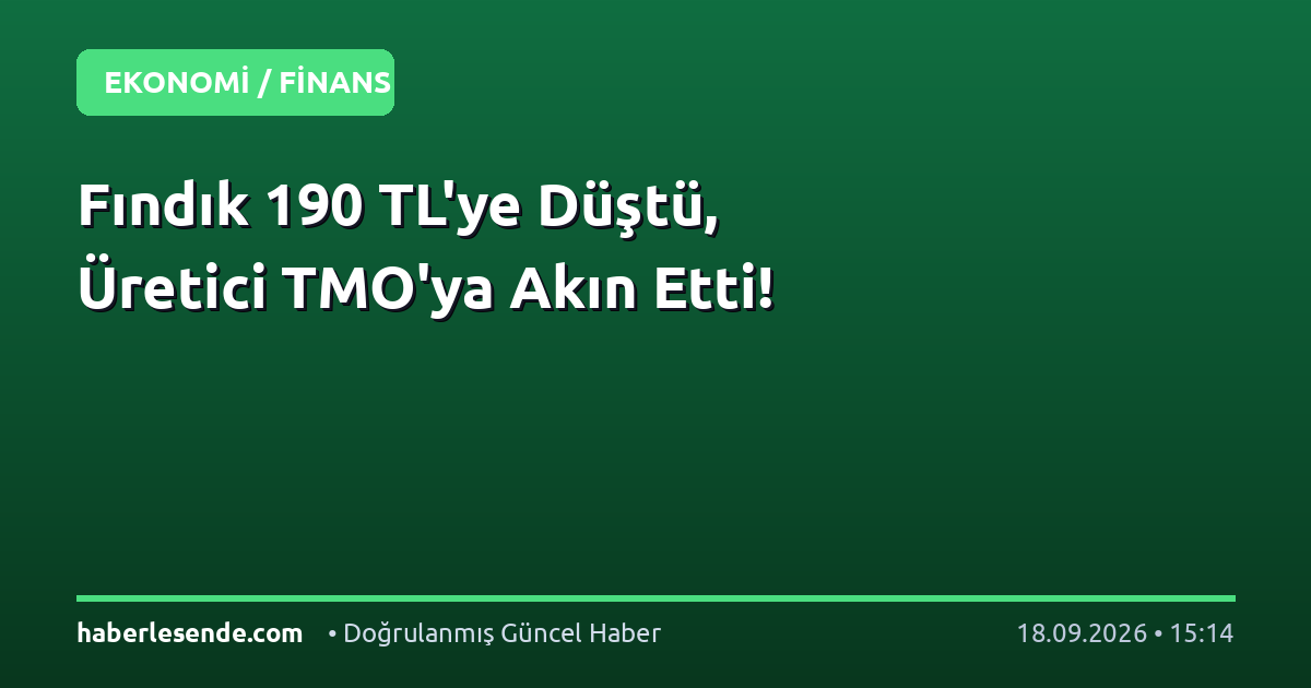 Fındık 190 TL'ye Düştü, Üretici TMO'ya Akın Etti!
