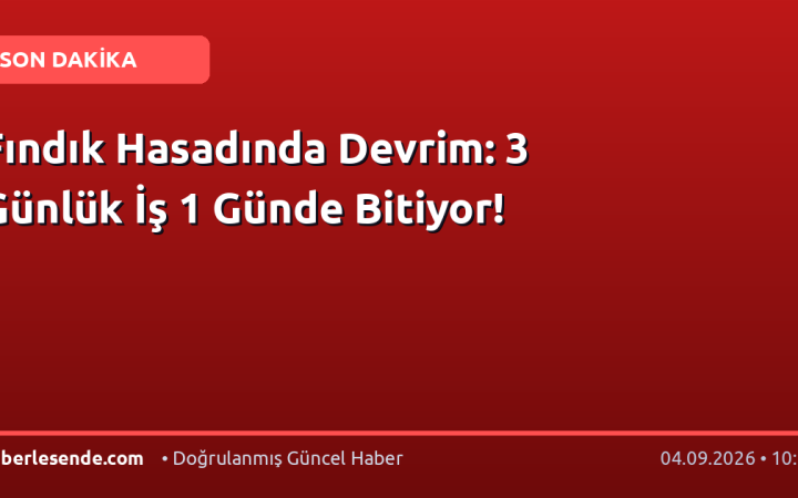 Fındık Hasadında Devrim: 3 Günlük İş 1 Günde Bitiyor!