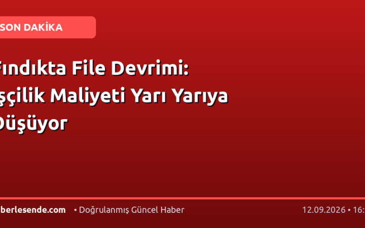 Fındıkta File Devrimi: İşçilik Maliyeti Yarı Yarıya Düşüyor