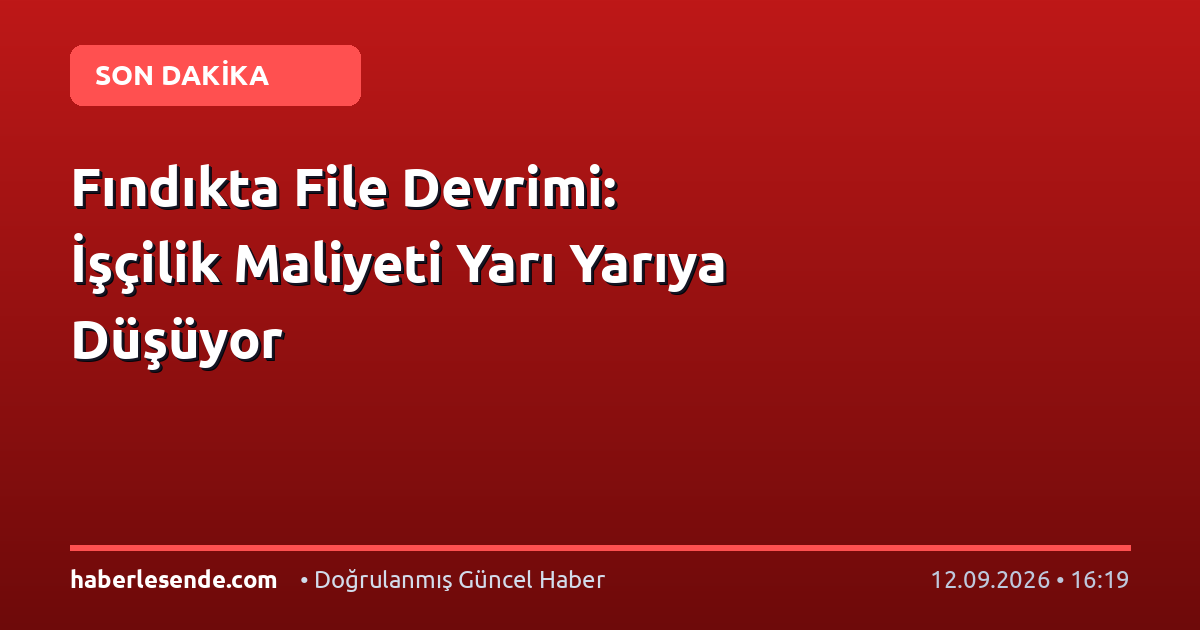 Fındıkta File Devrimi: İşçilik Maliyeti Yarı Yarıya Düşüyor