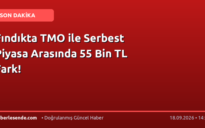 Fındıkta TMO ile Serbest Piyasa Arasında 55 Bin TL Fark!