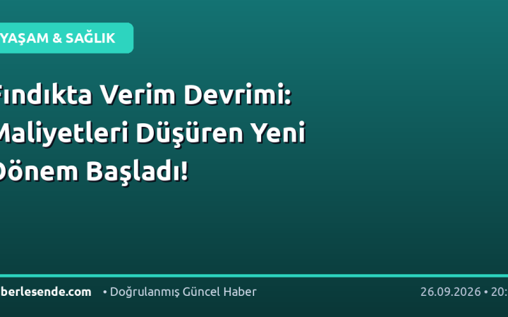 Fındıkta Verim Devrimi: Maliyetleri Düşüren Yeni Dönem Başladı!