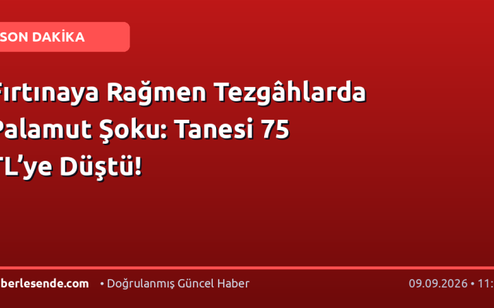 Fırtınaya Rağmen Tezgâhlarda Palamut Şoku: Tanesi 75 TL’ye Düştü!