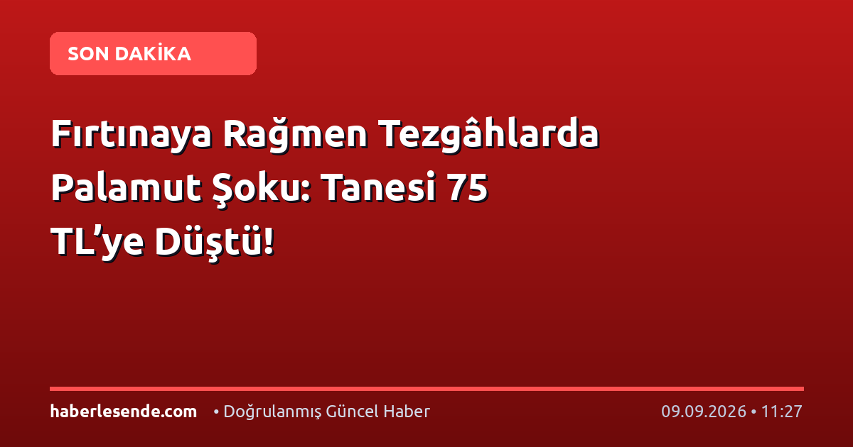 Fırtınaya Rağmen Tezgâhlarda Palamut Şoku: Tanesi 75 TL’ye Düştü!