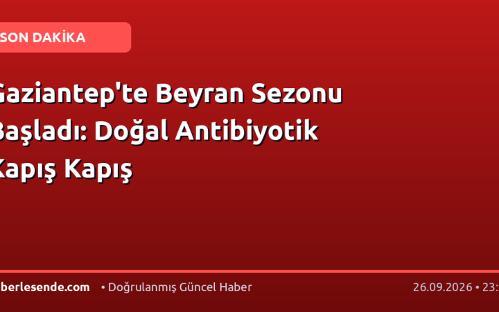 Gaziantep'te Beyran Sezonu Başladı: Doğal Antibiyotik Kapış Kapış