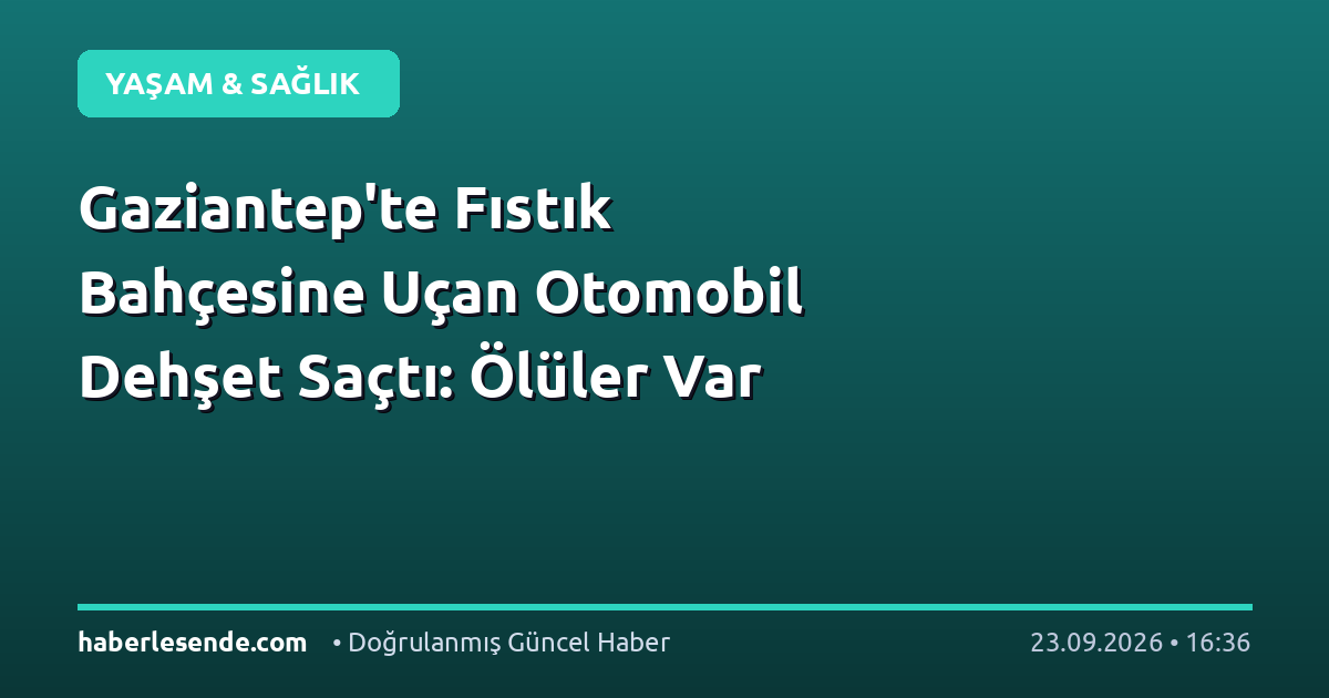 Gaziantep'te Fıstık Bahçesine Uçan Otomobil Dehşet Saçtı: Ölüler Var