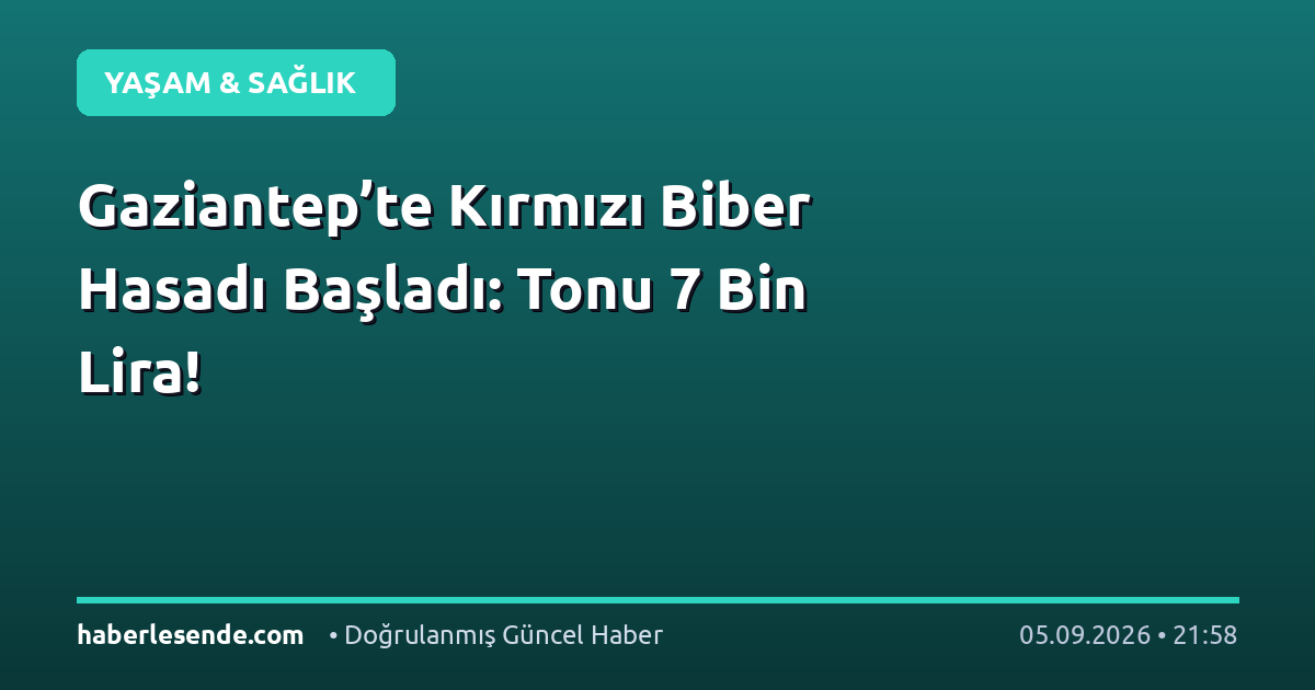 Gaziantep’te Kırmızı Biber Hasadı Başladı: Tonu 7 Bin Lira!