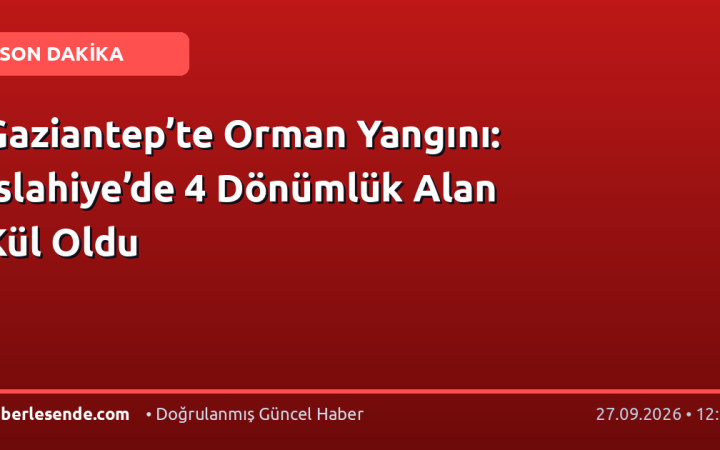 Gaziantep’te Orman Yangını: İslahiye’de 4 Dönümlük Alan Kül Oldu