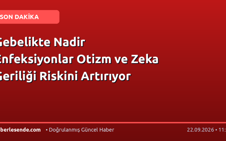 Gebelikte Nadir Enfeksiyonlar Otizm ve Zeka Geriliği Riskini Artırıyor