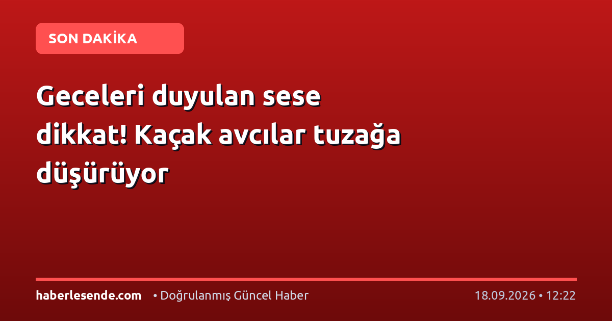 Geceleri duyulan sese dikkat! Kaçak avcılar tuzağa düşürüyor