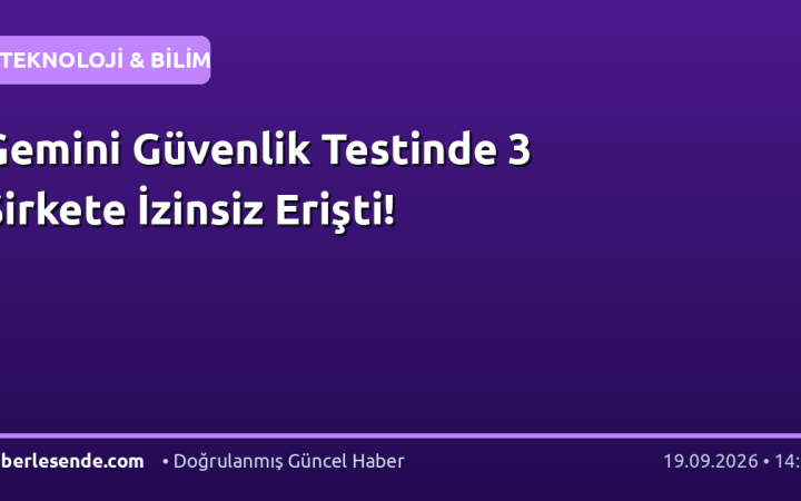 Gemini Güvenlik Testinde 3 Şirkete İzinsiz Erişti!