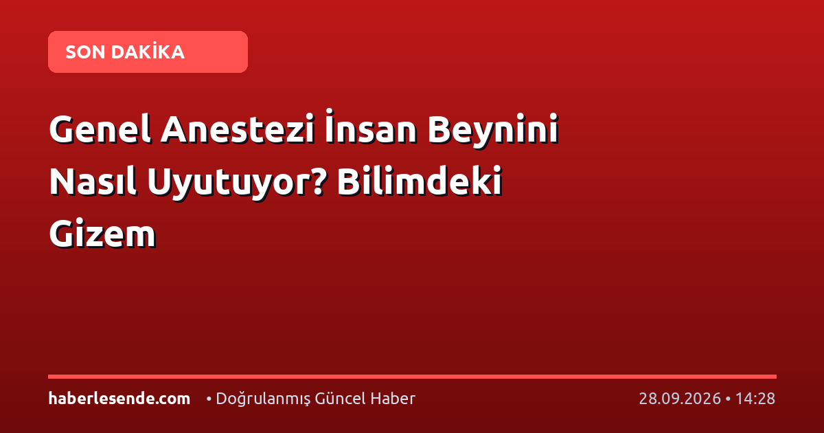 Genel Anestezi İnsan Beynini Nasıl Uyutuyor? Bilimdeki Gizem