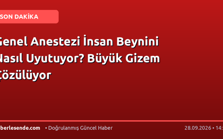 Genel Anestezi İnsan Beynini Nasıl Uyutuyor? Büyük Gizem Çözülüyor