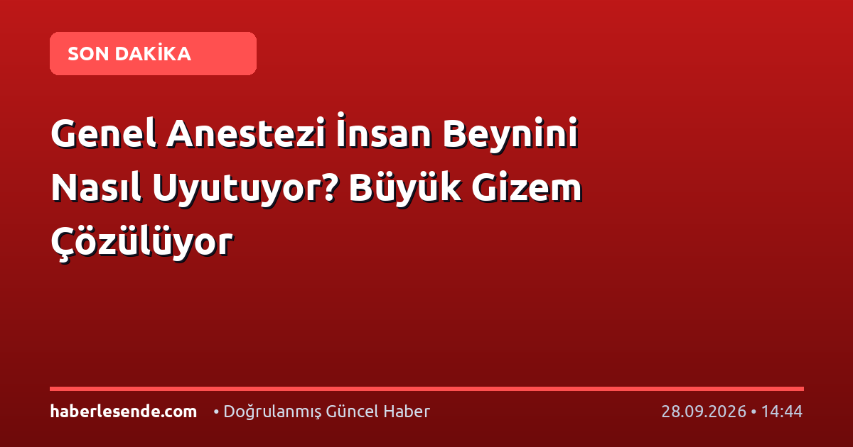 Genel Anestezi İnsan Beynini Nasıl Uyutuyor? Büyük Gizem Çözülüyor