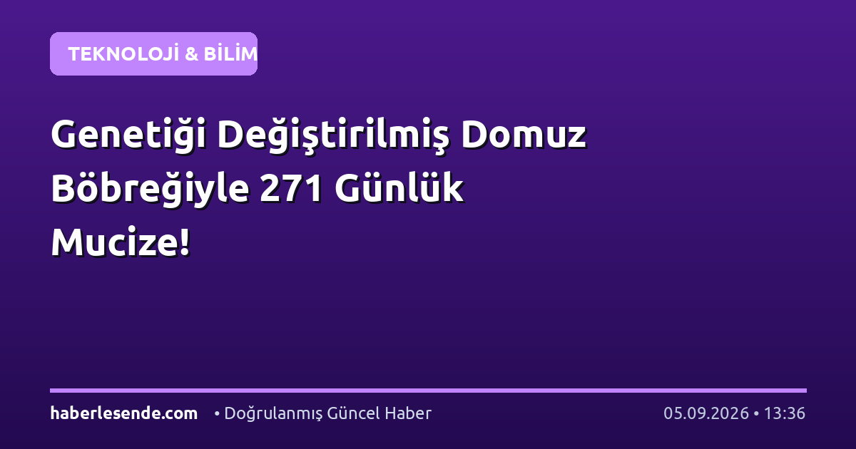 Genetiği Değiştirilmiş Domuz Böbreğiyle 271 Günlük Mucize!