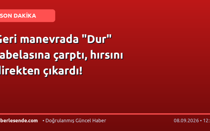 Geri manevrada "Dur" tabelasına çarptı, hırsını direkten çıkardı!