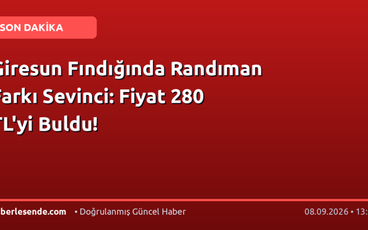 Giresun Fındığında Randıman Farkı Sevinci: Fiyat 280 TL'yi Buldu!
