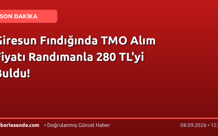 Giresun Fındığında TMO Alım Fiyatı Randımanla 280 TL'yi Buldu!