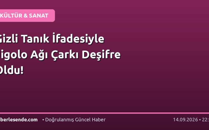 Gizli Tanık İfadesiyle Jigolo Ağı Çarkı Deşifre Oldu!