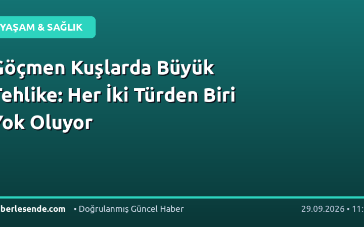 Göçmen Kuşlarda Büyük Tehlike: Her İki Türden Biri Yok Oluyor