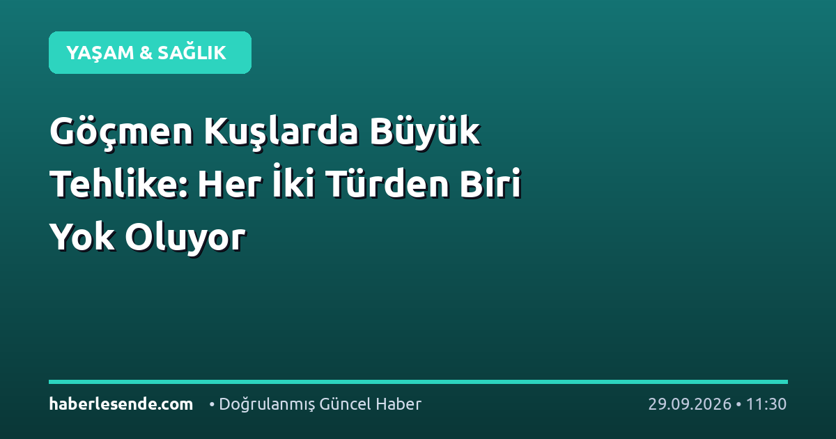Göçmen Kuşlarda Büyük Tehlike: Her İki Türden Biri Yok Oluyor