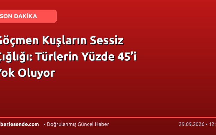 Göçmen Kuşların Sessiz Çığlığı: Türlerin Yüzde 45’i Yok Oluyor