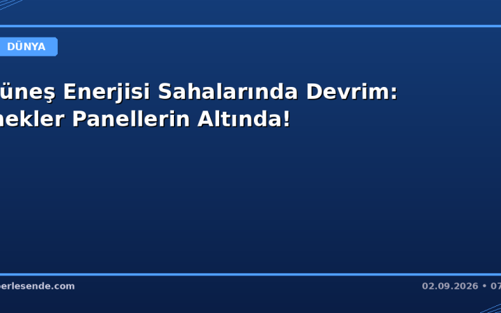 Güneş Enerjisi Sahalarında Devrim: İnekler Panellerin Altında!