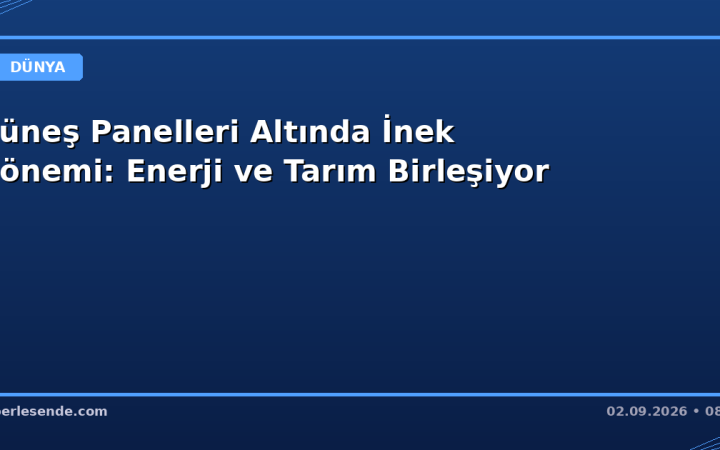 Güneş Panelleri Altında İnek Dönemi: Enerji ve Tarım Birleşiyor