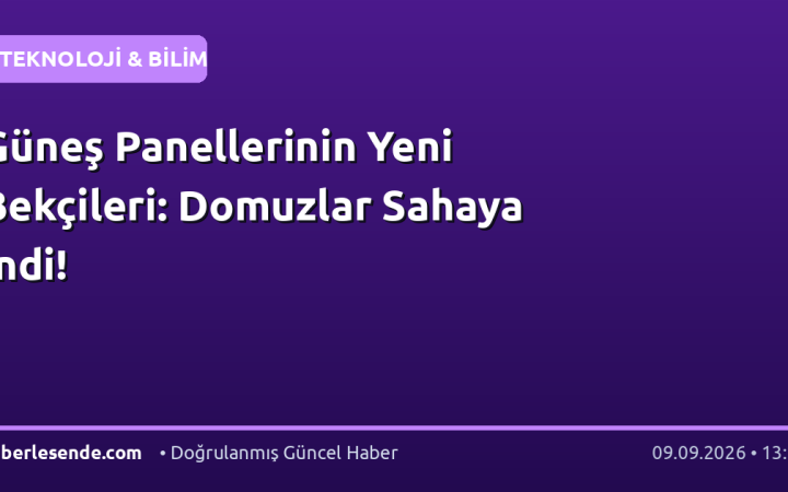 Güneş Panellerinin Yeni Bekçileri: Domuzlar Sahaya İndi!