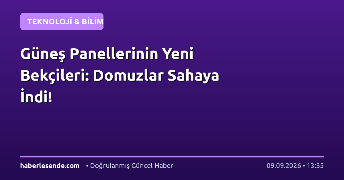 Güneş Panellerinin Yeni Bekçileri: Domuzlar Sahaya İndi!