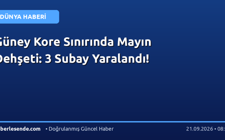 Güney Kore Sınırında Mayın Dehşeti: 3 Subay Yaralandı!