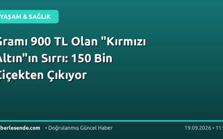 Gramı 900 TL Olan "Kırmızı Altın"ın Sırrı: 150 Bin Çiçekten Çıkıyor