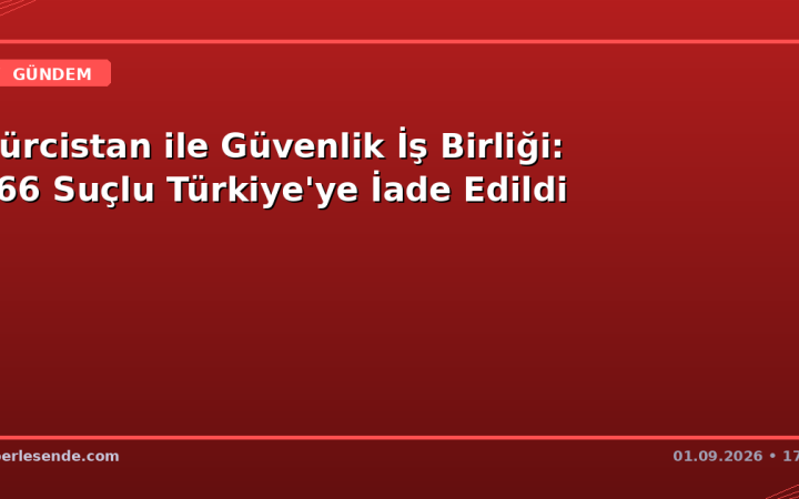 Gürcistan ile Güvenlik İş Birliği: 866 Suçlu Türkiye'ye İade Edildi