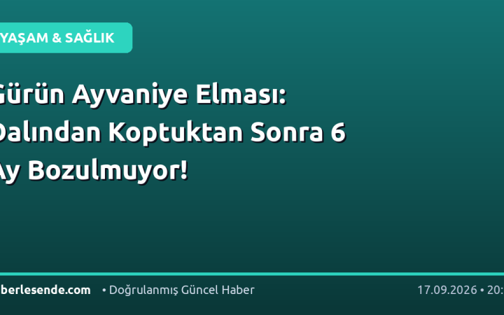 Gürün Ayvaniye Elması: Dalından Koptuktan Sonra 6 Ay Bozulmuyor!