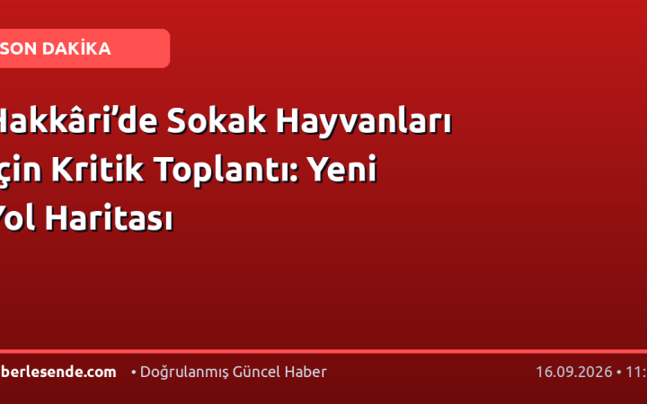 Hakkâri’de Sokak Hayvanları İçin Kritik Toplantı: Yeni Yol Haritası