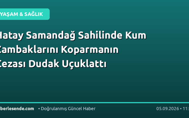 Hatay Samandağ Sahilinde Kum Zambaklarını Koparmanın Cezası Dudak Uçuklattı