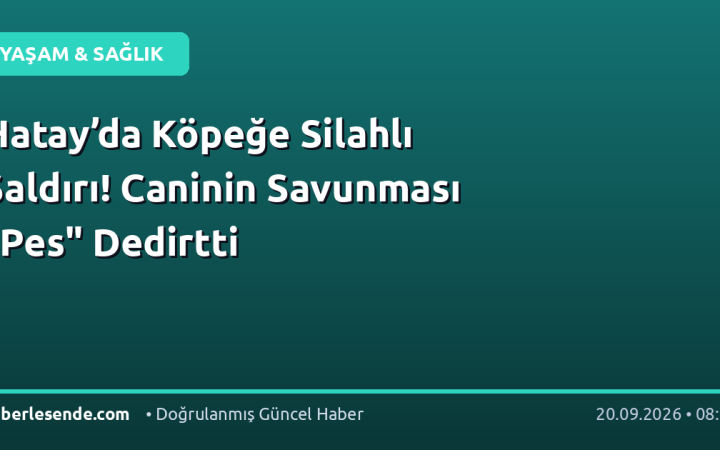 Hatay’da Köpeğe Silahlı Saldırı! Caninin Savunması "Pes" Dedirtti