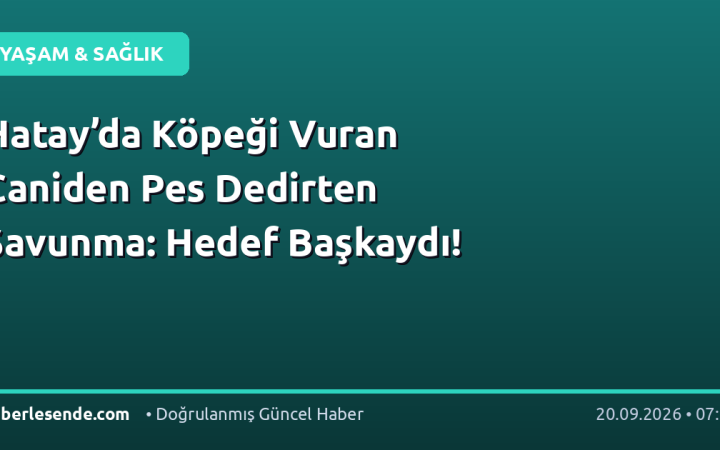Hatay’da Köpeği Vuran Caniden Pes Dedirten Savunma: Hedef Başkaydı!