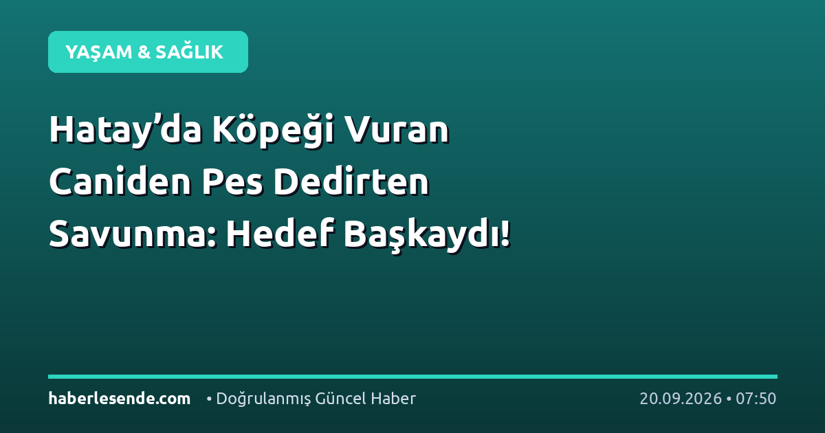 Hatay’da Köpeği Vuran Caniden Pes Dedirten Savunma: Hedef Başkaydı!