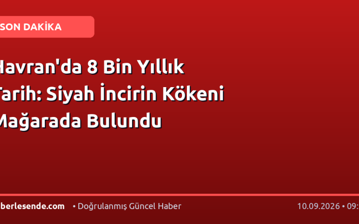 Havran'da 8 Bin Yıllık Tarih: Siyah İncirin Kökeni Mağarada Bulundu
