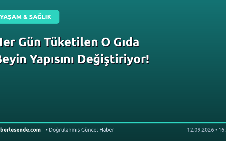 Her Gün Tüketilen O Gıda Beyin Yapısını Değiştiriyor!