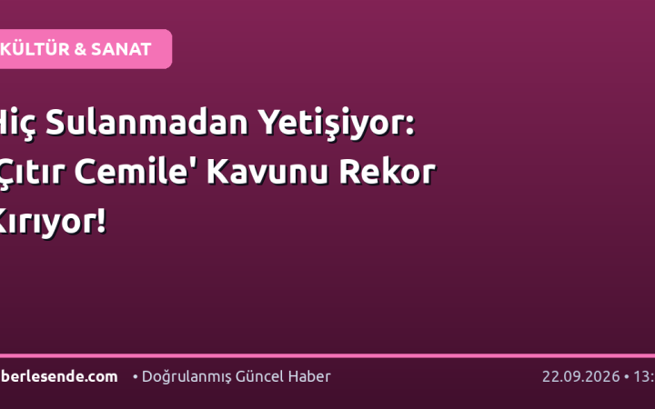 Hiç Sulanmadan Yetişiyor: 'Çıtır Cemile' Kavunu Rekor Kırıyor!