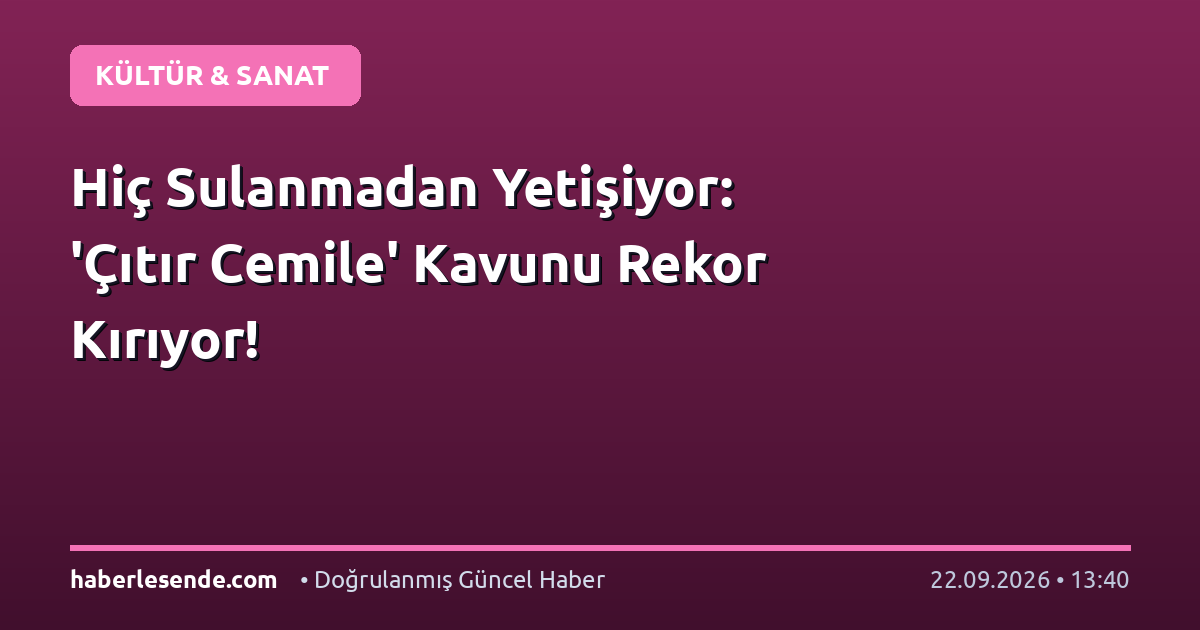 Hiç Sulanmadan Yetişiyor: 'Çıtır Cemile' Kavunu Rekor Kırıyor!