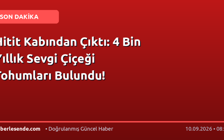 Hitit Kabından Çıktı: 4 Bin Yıllık Sevgi Çiçeği Tohumları Bulundu!