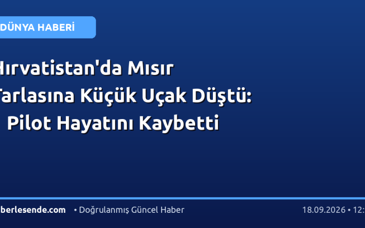 Hırvatistan'da Mısır Tarlasına Küçük Uçak Düştü: 1 Pilot Hayatını Kaybetti